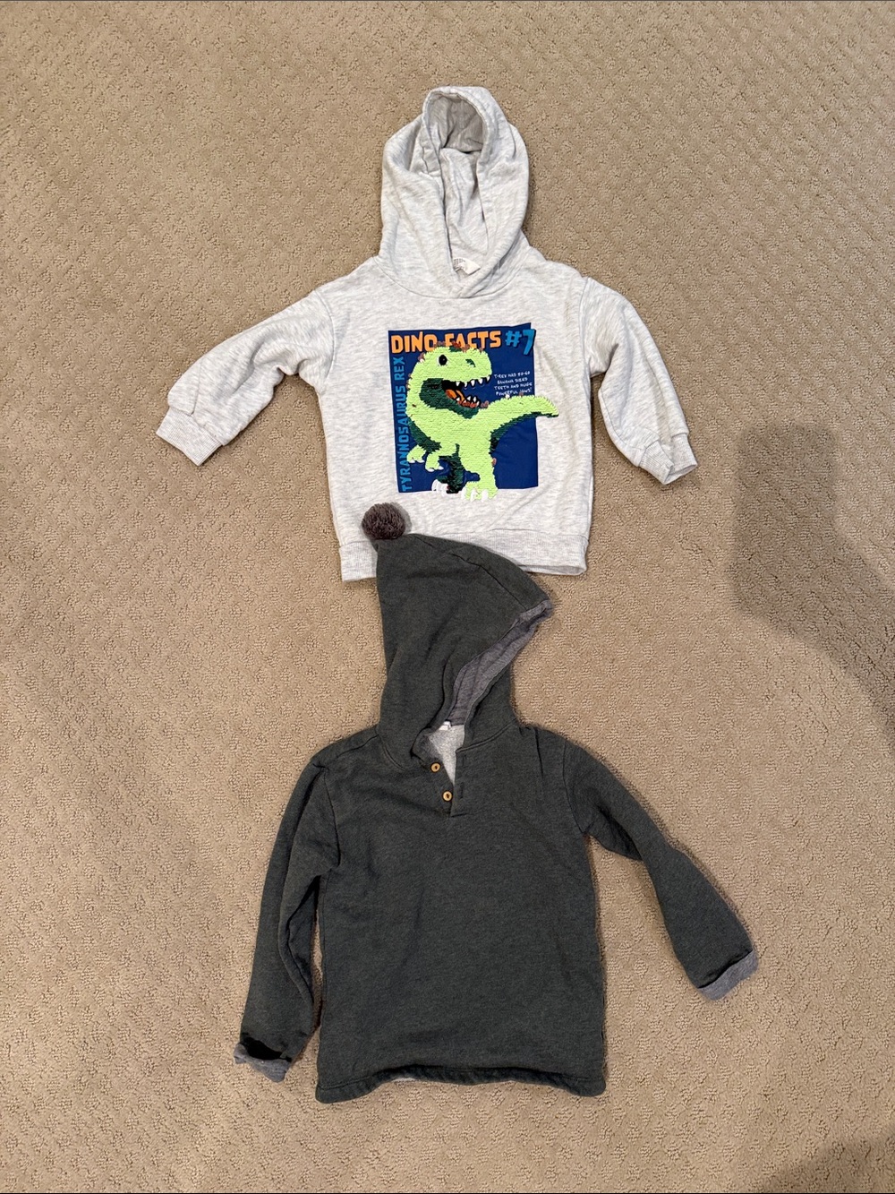 2 Pack! H&M Kids' Sequin Change Dino Hoodie and Dark Green Henley | Size 4